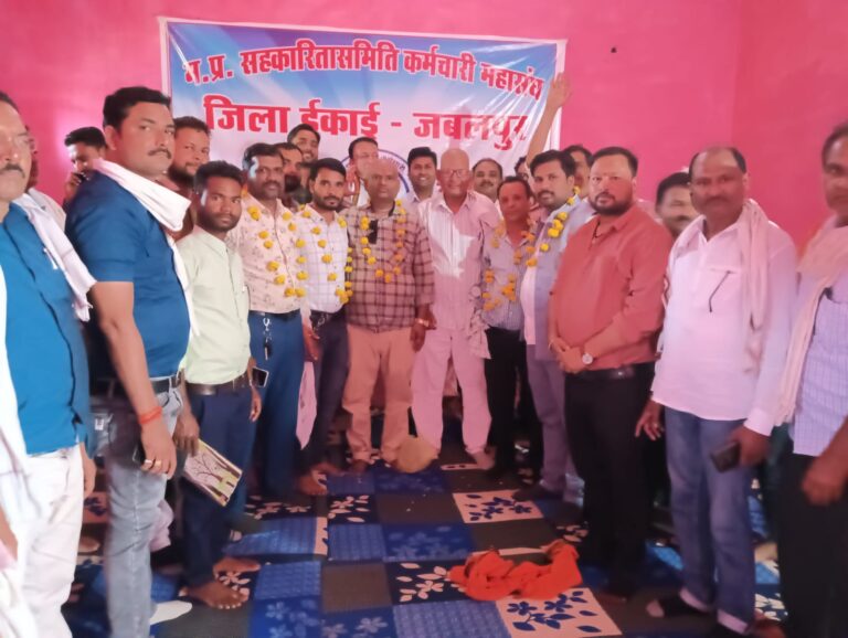 WhatsApp Image 2023-05-15 at 15.17.42