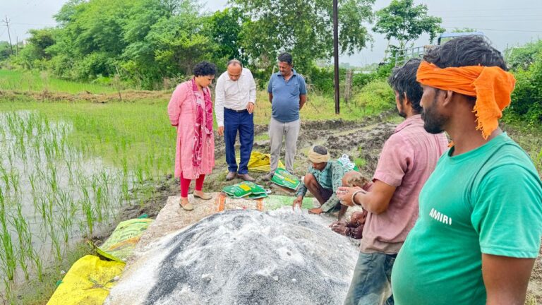 धान (1)