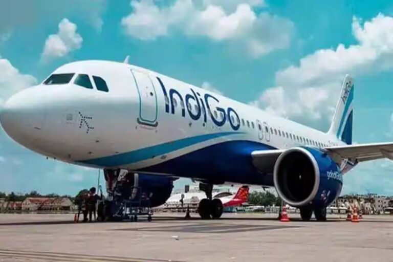indigo-airlines-flight