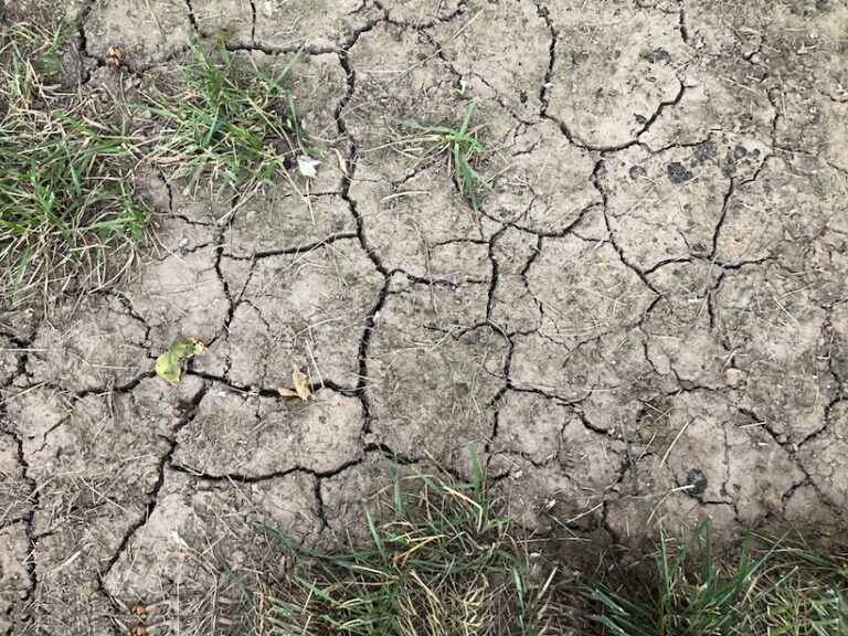 drought