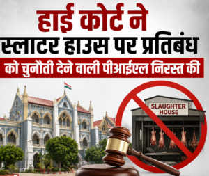 स्लॉटर हाउस प्रतिबंध को चुनौती देने वाली PIL खारिज, हाई कोर्ट ने कहा—लंबित केस में रखें अपना पक्ष…